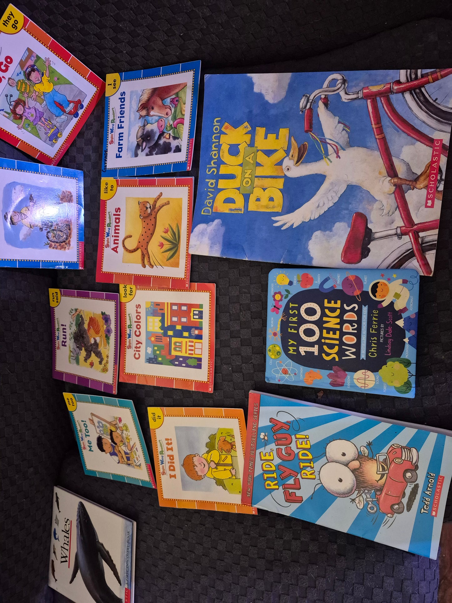Dr. Seuss Childrens book collection