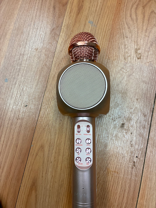 Karaoke mic