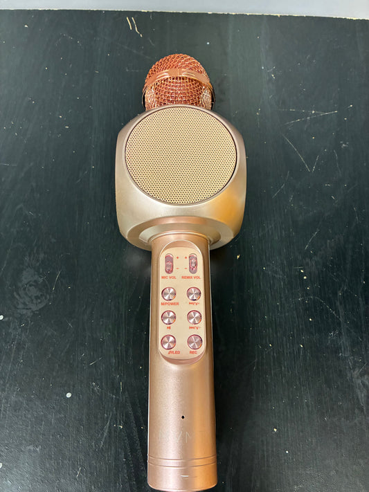wireless Bluetooth karaoke microphone with built-in speaker